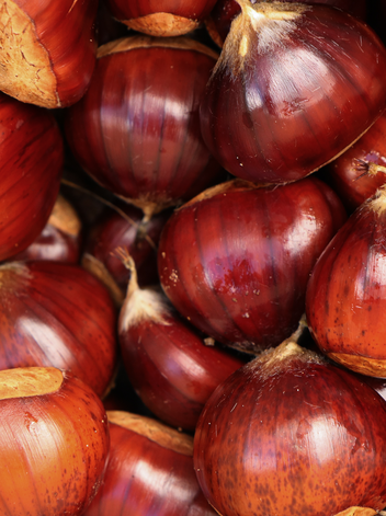 Chestnut from Soutos da Lapa PDO