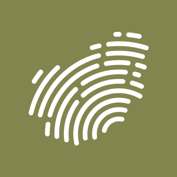 Papas de Milho com Queijo Serra da Estrela