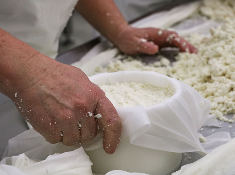 Come and learn how it is made and taste one of the greatest delicacies of national gastronomy: Serra da Estrela Cheese PDO